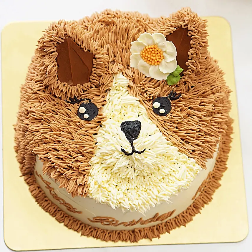 Sweet Cat Chocolate Cake